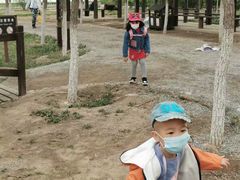 -西青郊野公园