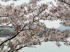 -羊山湖公园