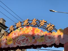 -溪岸路花鸟市场