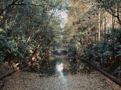 -上海滨江森林公园