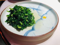 清炒豌豆尖-晟永興烤鸭店(五道口店)