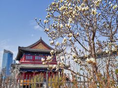 -西海子公园