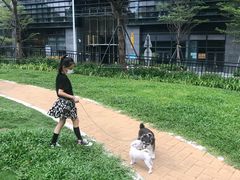 -景田北六街公园宠物主题园