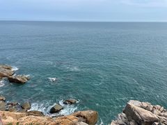 -广东惠东海龟国家级自然保护区