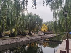 -元大都城垣遗址公园