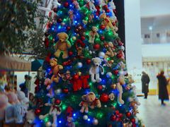 -济州岛泰迪熊博物馆