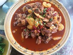 -青城甲(青城山店)