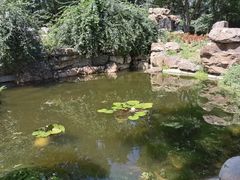 -沈阳植物园