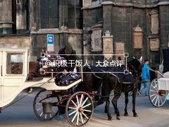 -斯蒂芬主教座堂(Stephansdom)