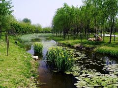 -长白岛森林公园