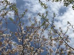 -幕燕滨江·长江观音景区