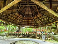 -姑婆山旅游区