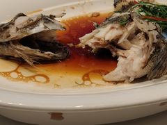 清蒸大青斑-君庭中餐馆(华强路店)