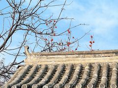 -辛庄国际文化艺术区