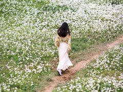 -白鹭湾湿地公园