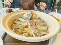 -人间采蜜(海信广场店)