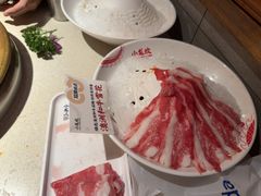 -小龙坎火锅(全球旗舰店)