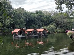 -侨美·唐荔园·40年地道粤菜