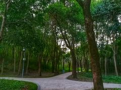 -昆山城市生态森林公园