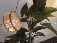 -船歌·鱼水饺青岛菜(恒隆广场店)