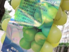 -华盛果品大卖场(黄桦路店)