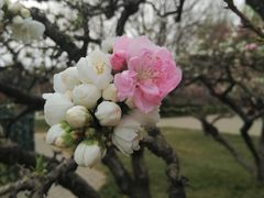 -玲珑塔公园
