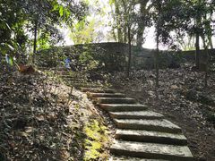 -上海佘山国家森林公园天马山园