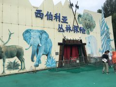 -泰安地下龙宫景区