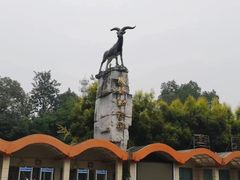 -成都动物园