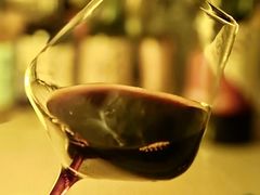 -水之惠鲜鱼料理(王府大街店)