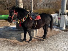 -北京亚布洛尼朝阳公园滑雪场