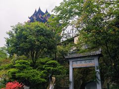 -黄鹤楼公园(黄鹤楼)