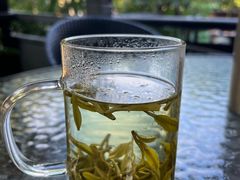 -阿巧茶庄