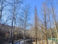 -白水寺森林公园