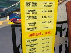 -芜湖新华联大白鲸海洋公园