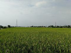 -渔闻农家菜