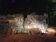 -清迈夜间动物园