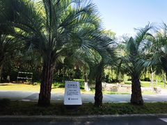 -苏州河梦清园环保主题公园