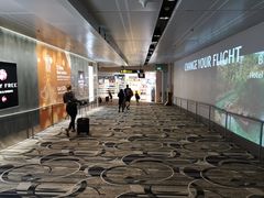 -樟宜机场免税店