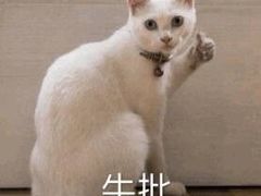 -阿坤传统手工小吃(沙坪坝店)
