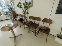 -共舞时光猫咖·狗咖(新街口店)