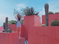 -漳州滨海火山岛自然生态风景区