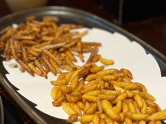 -滇野云南野生菌餐厅(陕西南路店)