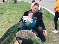 -黄龙溪欢乐田园