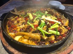 -老板恋上鱼(恒隆广场店)