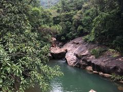 -广州白江湖森林公园