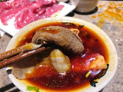 鲜毛肚-重庆渝达老火锅(春熙路店)