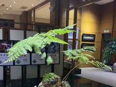 -黔蘑菇四季餐厅(观山湖店)