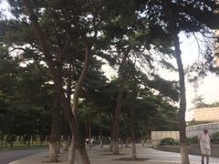 -东北大学(南湖校区)