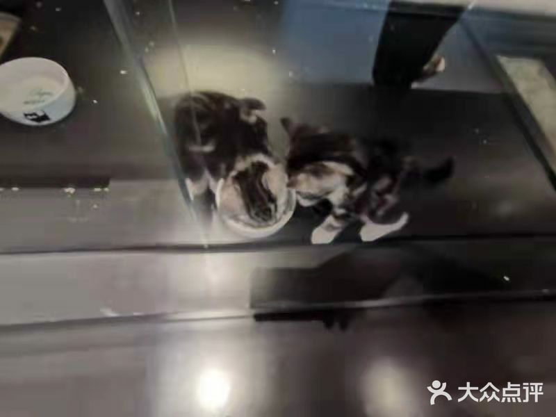闺蜜我们俩一人买了一只，抱着软绵绵的